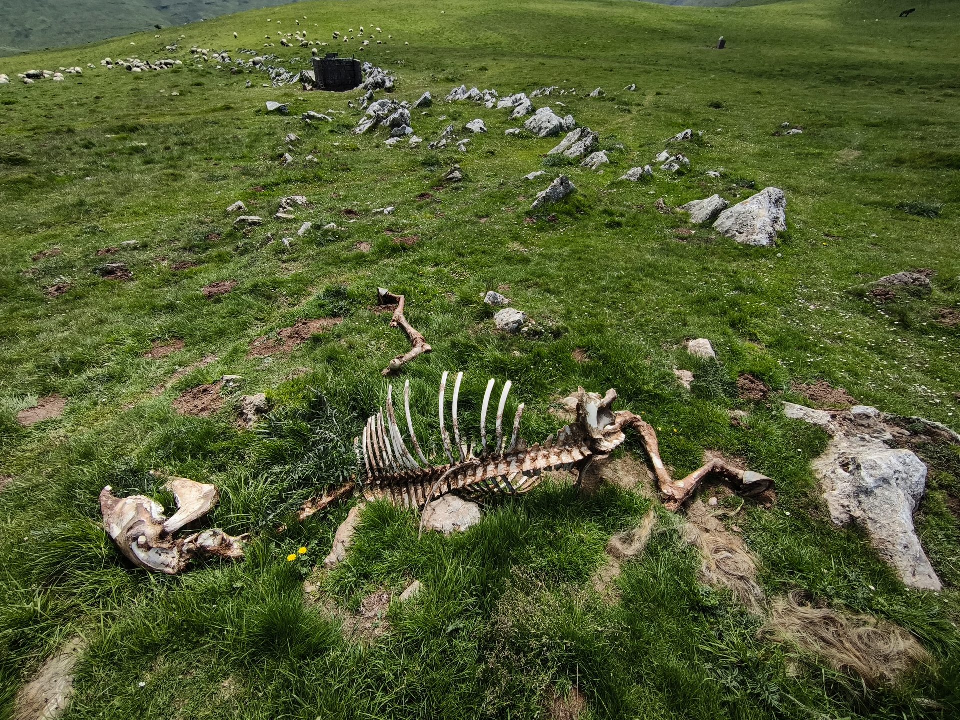 20.jpg