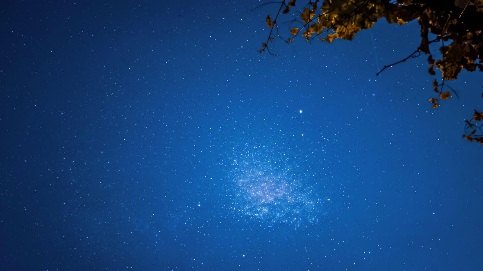 深藍夜空中的璀璨星海