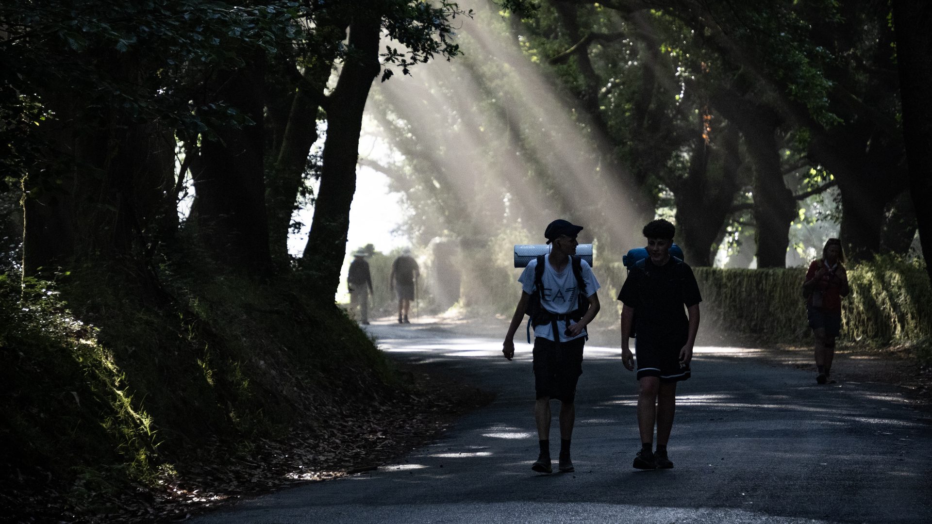 田野間的藍色路標石碑